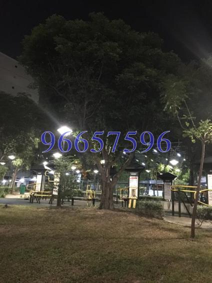 Blk 137 Simei Street 1 (Tampines), HDB 5 Rooms #124648182
